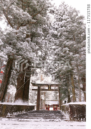 Nikko City Nikko Toshogu Shrine Approach 117315788