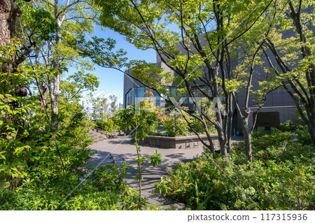 Jingumae, Omotesando, Omohara Forest, Shibuya Ward, Tokyo Jingumae, Omotesando, Omohara Forest, Shibuya Ward, Tokyo 117315936