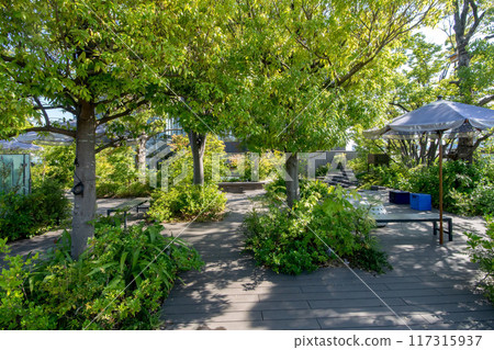 Jingumae, Omotesando, Omohara Forest, Shibuya Ward, Tokyo 117315937