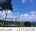 wooden bridge in the mountain 117316199
