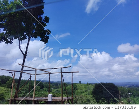 wooden bridge in the mountain wooden bridge in the mountain 117316199