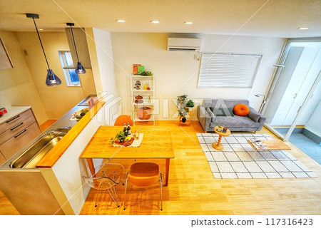 Stylish living of a pet living designer house 117316423