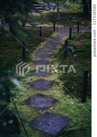 Mossy stepping stones in a Japanese garden Mossy stepping stones in a Japanese garden 117316589