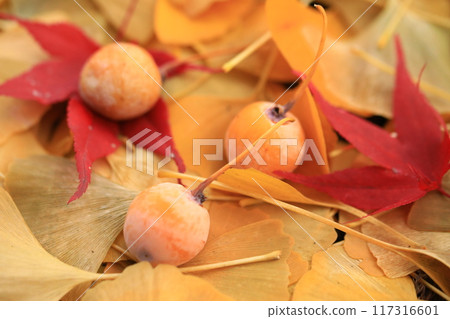 What I saw on my autumn leaf walk What I saw on my autumn leaf walk 117316601