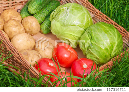 Vegetables in a wicker box. Tomatoes, cabbage, cucumbers and potatoes. Vegetables in a wicker box. Tomatoes, cabbage, cucumbers and potatoes. 117316711
