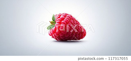 Single Raspberry Isolated on a White Background. 117317055