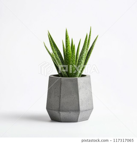 Potted Plant in Geometric Concrete Planter. Generative ai. 117317065