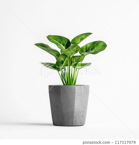 Potted Plant in Geometric Concrete Planter. Generative ai. 117317079