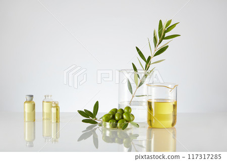 Front view of lab glassware, beakers and petri dish containing fresh olives, olive oil and leaves on the light background. Minimal scene with blank space for advertising product Front view of lab glassware, beakers and petri dish containing fresh olives, olive oil and leaves on the light background. Minimal scene with blank space for advertising product 117317285