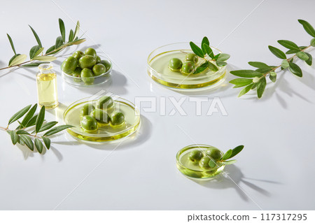 Fresh olives, leaves and oil of olive on petri dishes decorated on white background. Minimal scene with laboratory concept for advertising. Olives contain many healthy nutrients Fresh olives, leaves and oil of olive on petri dishes decorated on white background. Minimal scene with laboratory concept for advertising. Olives contain many healthy nutrients 117317295