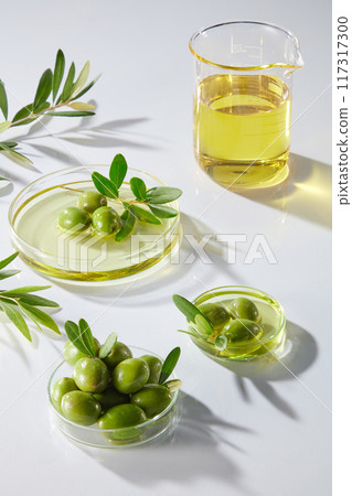 On a white background, petri dishes fill with fresh olives, branches and olive oil decorated. Lab glassware containing natural ingredient for cosmetic. Advertising photo On a white background, petri dishes fill with fresh olives, branches and olive oil decorated. Lab glassware containing natural ingredient for cosmetic. Advertising photo 117317300