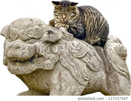 Stray pheasant cat riding on a lion at a shrine on a white background Stray pheasant cat riding on a lion at a shrine on a white background 117317307