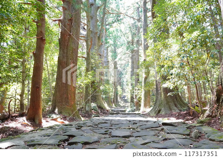World heritage Kumano Kodo 117317351