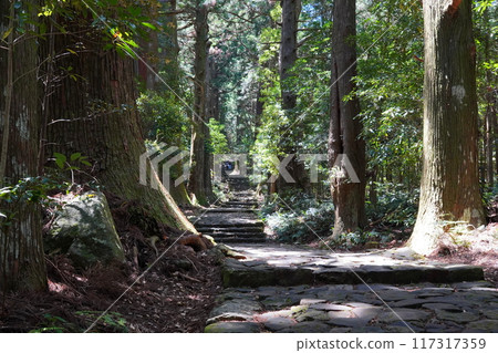 世界遺產Kumano Kodo 117317359