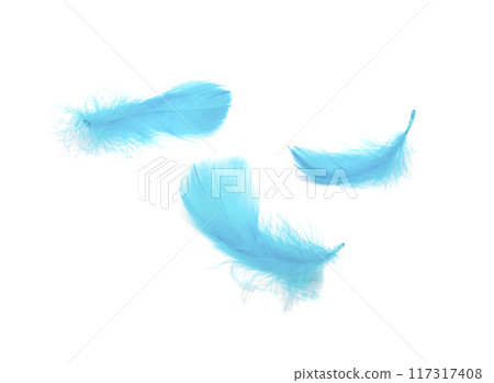 Blue fluffy feather soft isolated on the white studio background Blue fluffy feather soft isolated on the white studio background 117317408