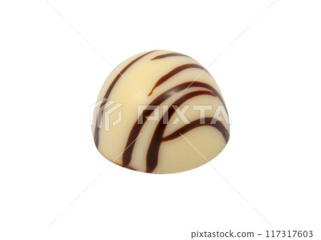 exclusive chocolate sweets isolated on the white exclusive chocolate sweets isolated on the white 117317603