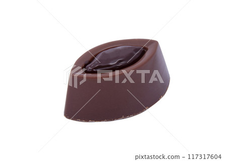 exclusive chocolate sweets isolated on the white exclusive chocolate sweets isolated on the white 117317604