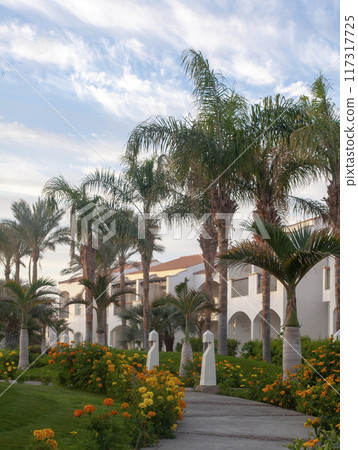 alleyway in hotel with beautiful trees for tourists 117317725