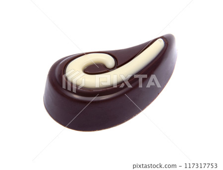 exclusive chocolate sweets isolated on the white 117317753