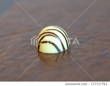 exclusive chocolate sweets isolated on the white 117317761