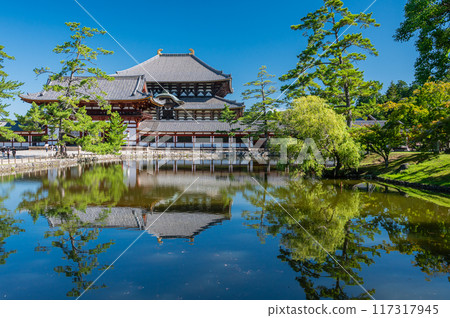 Todaiji Temple of Great Buddha and a mirror pond 117317945