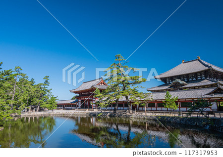 Todaiji大佛寺和鏡子池塘 117317953
