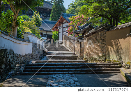 The back approach to Todaiji Temple's Nigatsudo Hall 117317974
