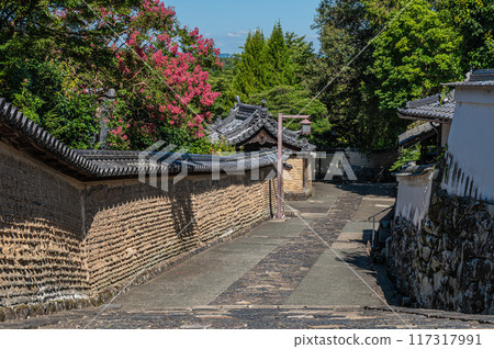 東大寺二月堂後門，土牆長出紫薇 117317991