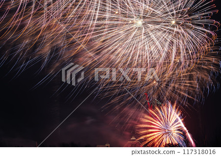 Fireworks 117318016