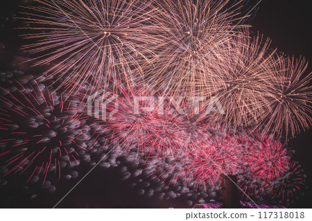 Fireworks Fireworks 117318018