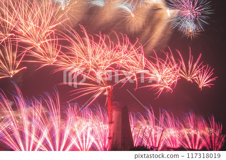 Fireworks Fireworks 117318019