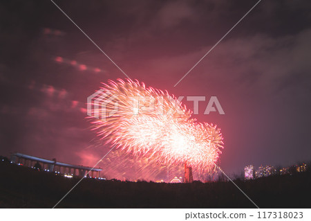 Fireworks Fireworks 117318023