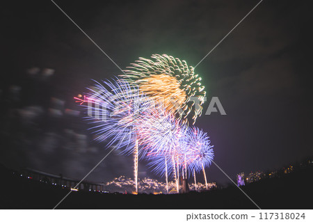 Fireworks Fireworks 117318024