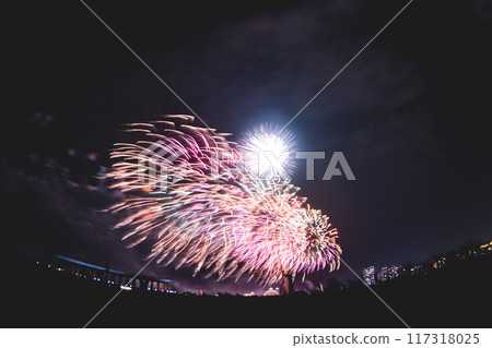 Fireworks Fireworks 117318025