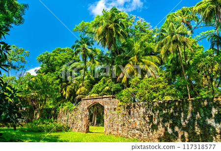 Old ruins of notorious penal colony in Saint Joseph Island, Salvation Islands, French Guiana Old ruins of notorious penal colony in Saint Joseph Island, Salvation Islands, French Guiana 117318577