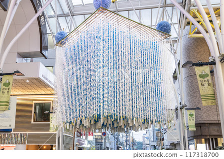 Tohoku Summer Festival: Sendai Tanabata Festival 2024, Sendai City, Miyagi Prefecture 117318700