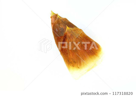 竹筍竹筍 竹筍竹筍 117318820