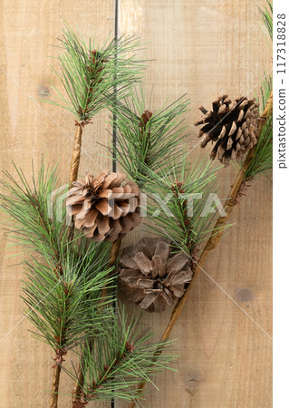 pinetree, pine tree, pinecone 117318828