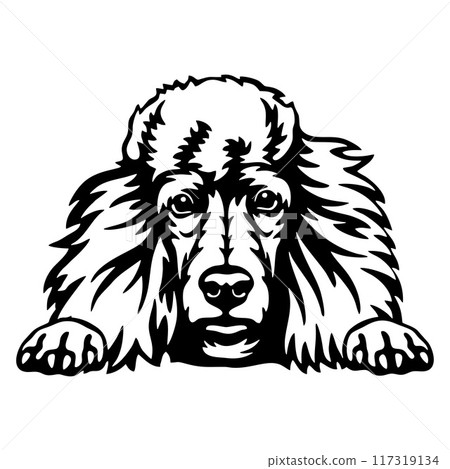 Peeking Poodle - Dog lover owner gift - Dog cut file - Peeking Dog Cut Stencil Peeking Poodle - Dog lover owner gift - Dog cut file - Peeking Dog Cut Stencil 117319134