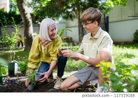 Teacher and young schoolboy during outdoor sustainable education, lesson in forest school. Planting vegetable seedling in soil. Concept of experiential learning and ecoliteracy. Teacher and young schoolboy during outdoor sustainable education, lesson in forest school. Planting vegetable seedling in soil. Concept of experiential learning and ecoliteracy. 117319188