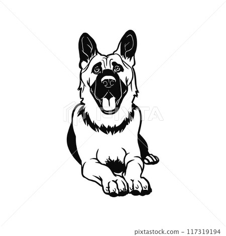 German Shepherd Dog - Lying dog vector stock isolated illustration on white background. 117319194