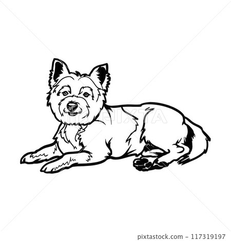 West Highland White Terrier - Lying dog vector stock isolated illustration on white background. 117319197