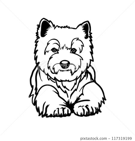 West Highland White Terrier - Lying dog vector stock isolated illustration on white background. 117319199