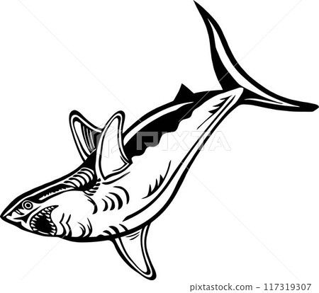 White Shark - American Fishes - Logo Fish Vector, Fish Stencil 117319307