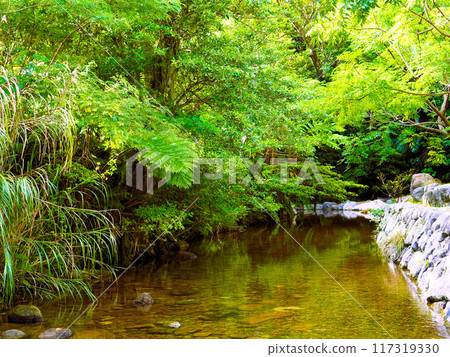 Tanpaki Park 117319330