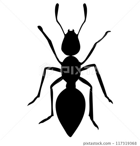 ant animal icon vectors illustration symbol design ant animal icon vectors illustration symbol design 117319368