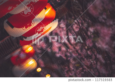 櫻花 櫻花 117319383