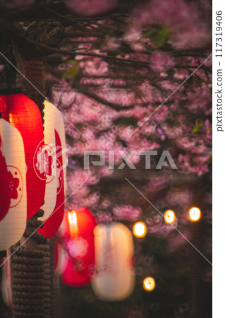 櫻花 117319406