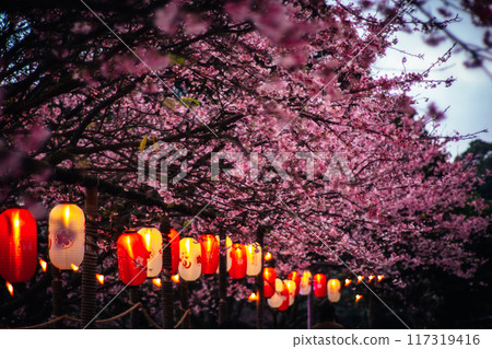 櫻花 117319416