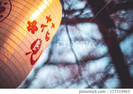 櫻花 117319463